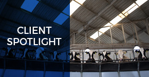 Client Spotlight
